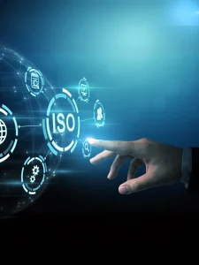  מערכות מידע עסקיות, מנהל מערכות מידע, שירותי IT