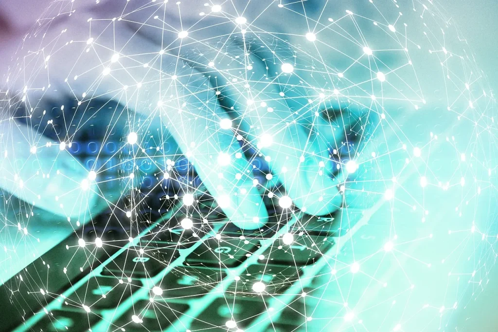 שירותי IT לעסקים, מנהל מערכת מידע